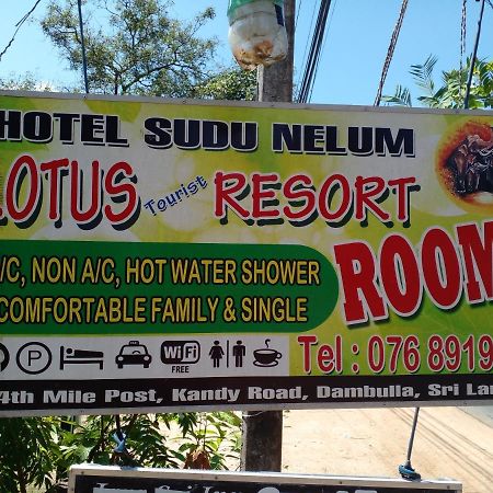 Lotus Inn Tourist Resort Дамбулла Екстер'єр фото