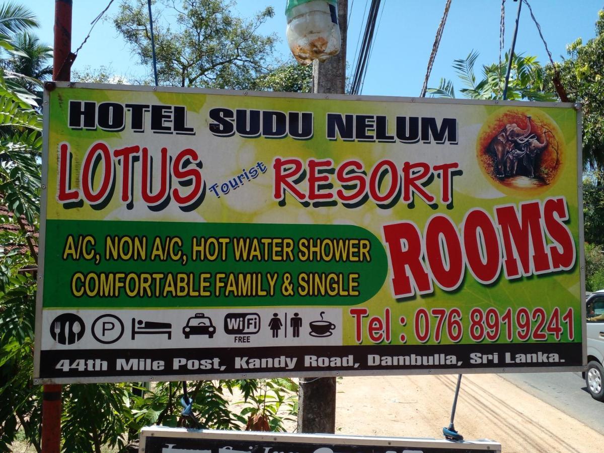 Lotus Inn Tourist Resort Дамбулла Екстер'єр фото