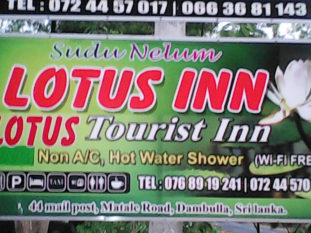 Lotus Inn Tourist Resort Дамбулла Екстер'єр фото