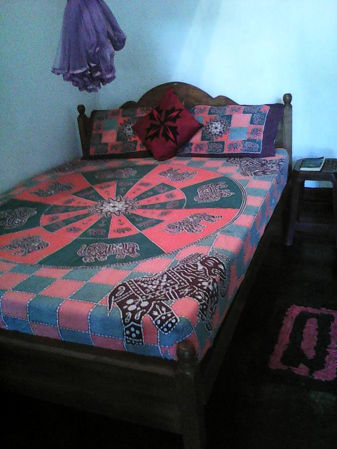 Lotus Inn Tourist Resort Дамбулла Екстер'єр фото