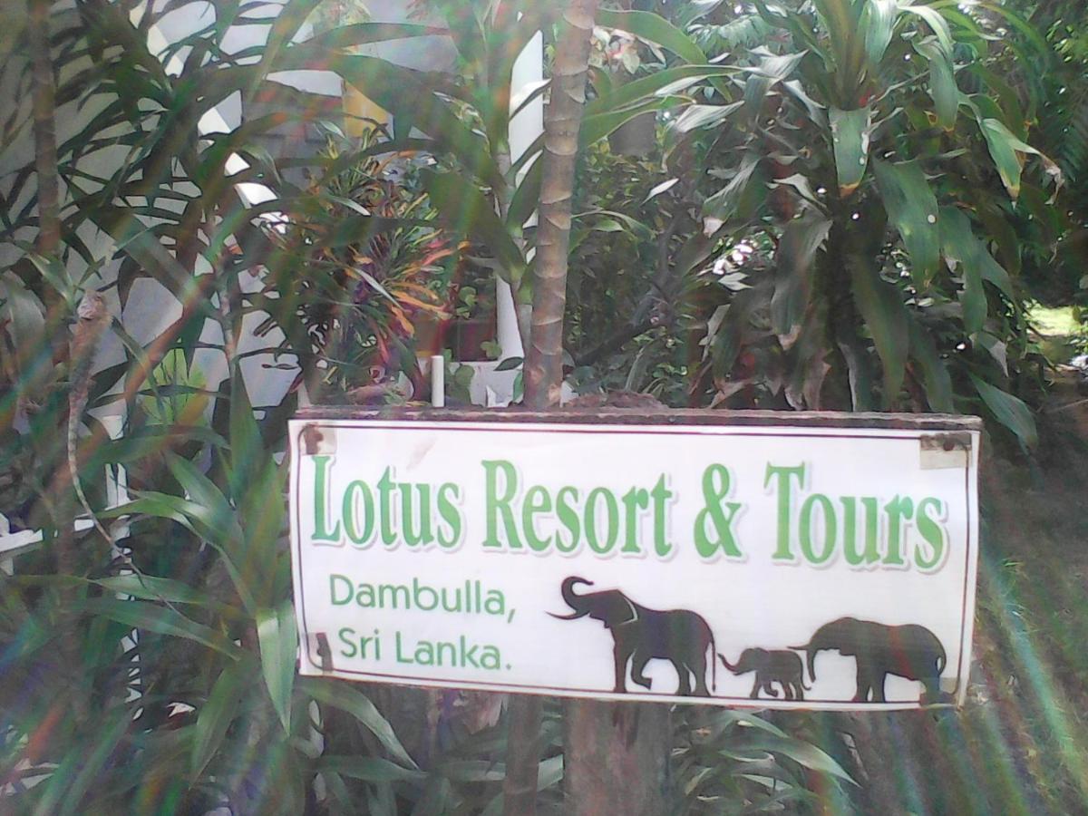 Lotus Inn Tourist Resort Дамбулла Екстер'єр фото