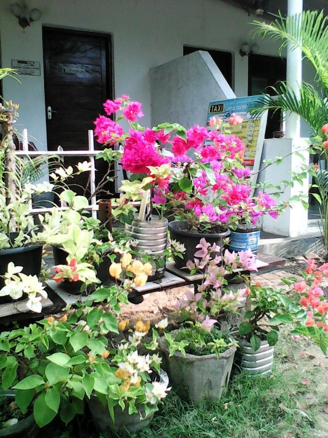 Lotus Inn Tourist Resort Дамбулла Екстер'єр фото